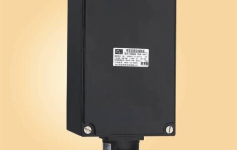 CZ0555/8 Explosion-proof plug with transformer